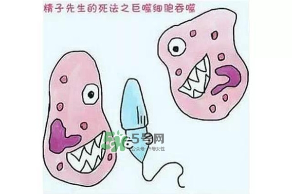 殺精的食物有哪些？吃什么東西殺精？