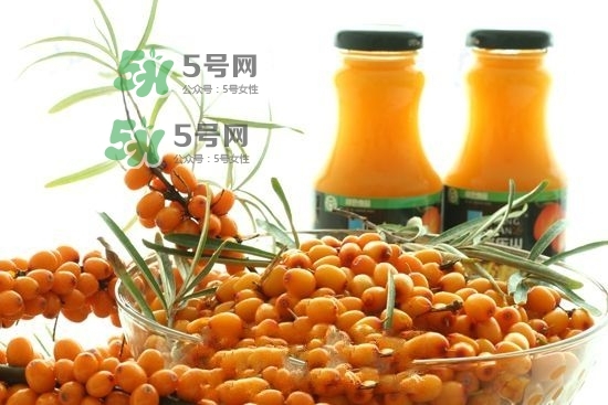 沙棘是什么？沙棘的功效與作用