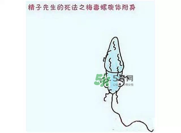 殺精的食物有哪些？吃什么東西殺精？