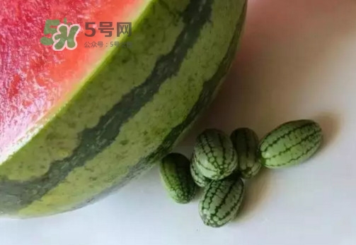 拇指西瓜什么時(shí)候上市？拇指西瓜什么時(shí)候成熟
