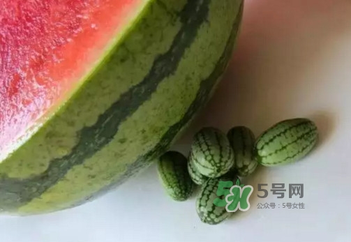 拇指西瓜多少錢一斤？拇指西瓜一口能吃幾個？