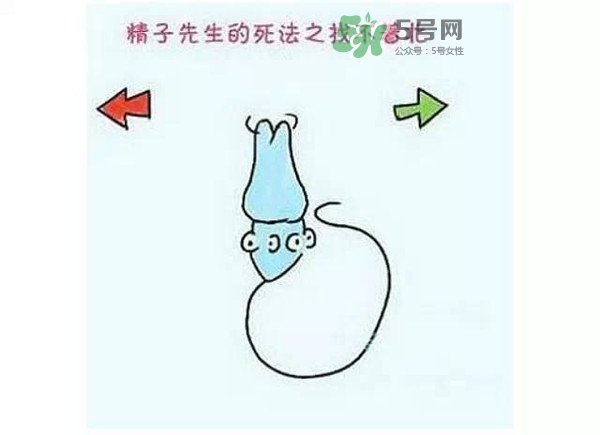 殺精的食物有哪些？吃什么東西殺精？