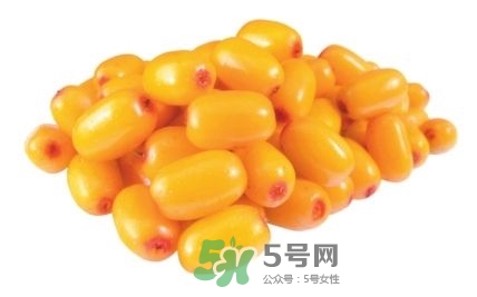 沙棘怎么吃？沙棘果的食用禁忌