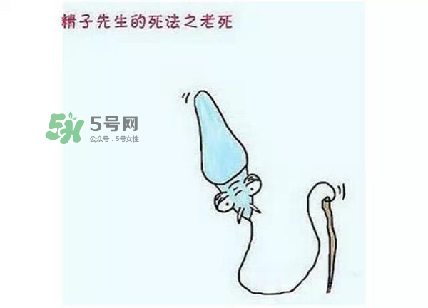 殺精的食物有哪些？吃什么東西殺精？