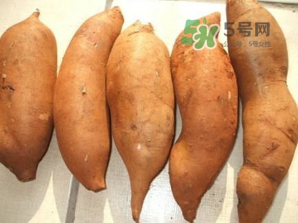 雪蓮果是水果嗎？雪蓮果是什么季節(jié)的水果？