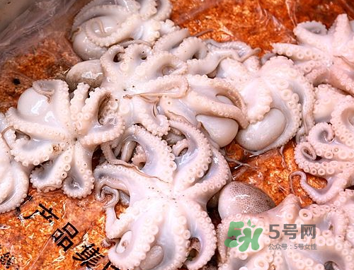 八爪魚可以冷凍嗎？八爪魚可以放冰箱嗎？