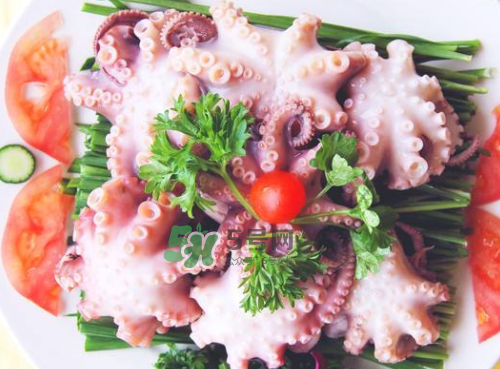 八爪魚什么地方不能吃？八爪魚哪里不能吃？