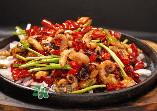 八爪魚煮多久才好？八爪魚需要煮多久？