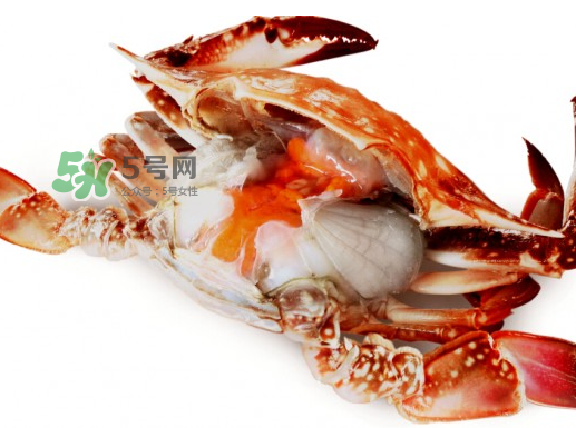 吃梭子蟹會胖嗎？梭子蟹吃了會胖嗎？ 