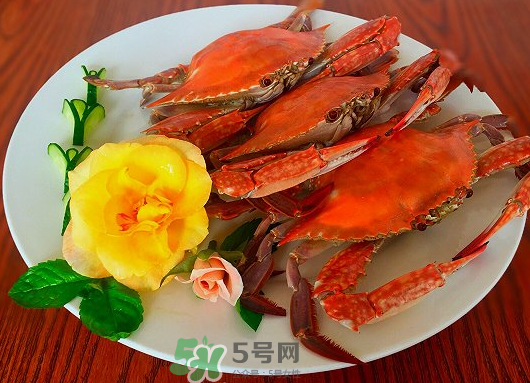 吃梭子蟹會胖嗎？梭子蟹吃了會胖嗎？ 
