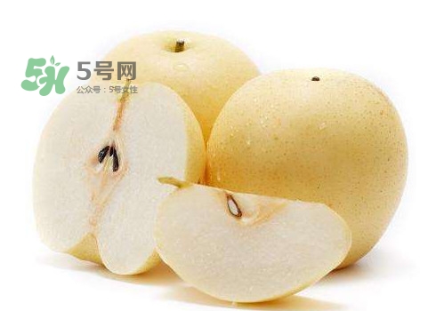 皇冠梨和雪花梨哪個(gè)好？雪花梨和皇冠梨的區(qū)別
