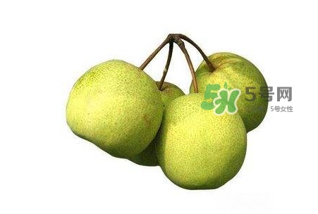 碭山梨好還是皇冠梨好？碭山梨和皇冠梨的區(qū)別