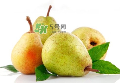 梨子是什么季節(jié)的水果？梨子什么季節(jié)吃最好