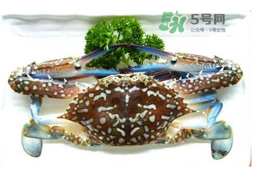 螃蟹腿藍色的是什么？螃蟹腿為什么是藍色？
