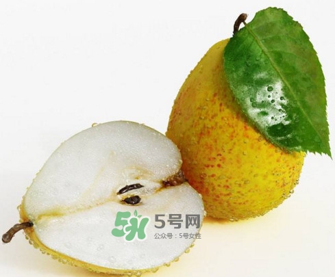 梨子核可以種盆栽嗎？梨子籽怎么種小盆栽