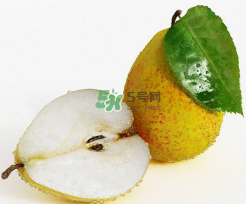 為什么梨子是溫度最高的水果？梨子什么人不能吃