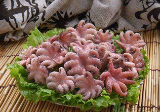 八爪魚煮多久才好？八爪魚需要煮多久？