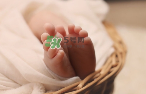 孕婦怎么吃燕窩最好？哪些孕媽需要吃燕窩？