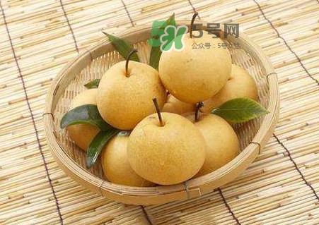 梨子怎么保存？梨子可以放冰箱嗎