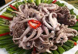 八爪魚可以冷凍嗎？八爪魚可以放冰箱嗎？