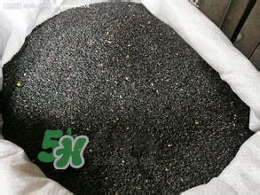 怎么看男人腎好不好？男人腎虛吃什么調(diào)理？