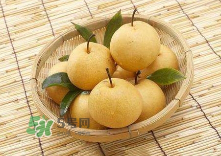 買梨子怎么挑選？梨子外面為什么要包張紙