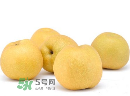 碭山梨什么時候成熟？碭山梨幾月份成熟