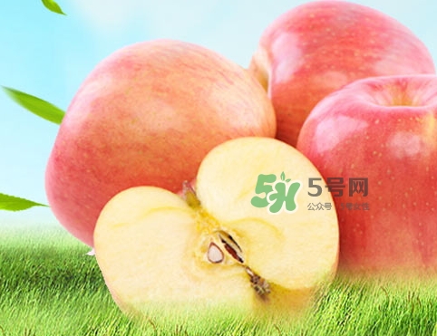 嘎啦蘋果多少錢？嘎啦果多少錢一斤