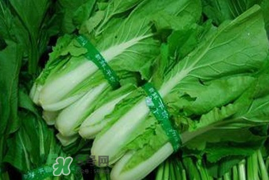 水白菜可以吃嗎？水白菜能吃嗎