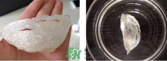 燕窩用什么鍋燉最好吃？燕窩用什么器具燉最好？