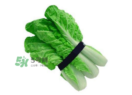 水白菜可以吃嗎？水白菜能吃嗎