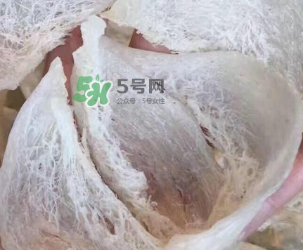 燕窩里面含有激素嗎？燕窩兒童吃了會(huì)不會(huì)性早熟？