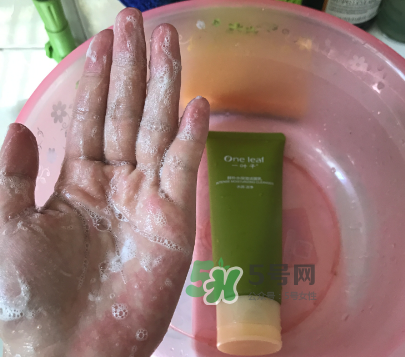 一葉子補水潔面乳怎么樣？一葉子補水洗面奶好用嗎？