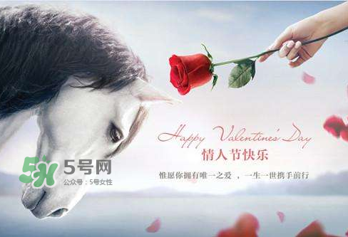 roseonly怎么樣？roseonly好看嗎？