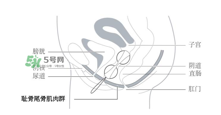 lelo露娜球如何使用方法？露娜球使用感受