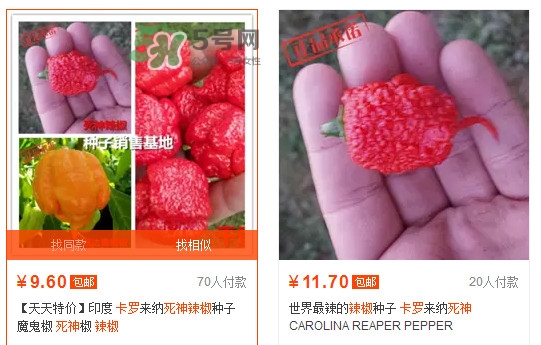 卡羅萊納死神辣椒中國有嗎？死神辣椒哪里有賣