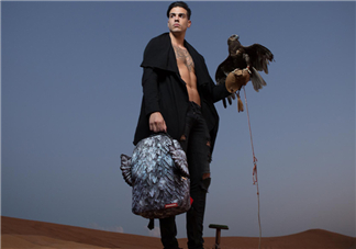 sprayground翅膀書(shū)包多少錢(qián)？sprayground雙肩包什么價(jià)位？