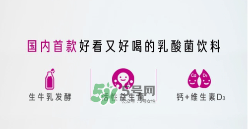 每日活菌乳酸菌多少錢一瓶？每日活菌乳酸菌好喝嗎？