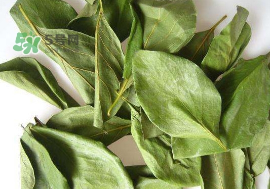 怎樣制作柿子葉茶？柿子葉茶的做法