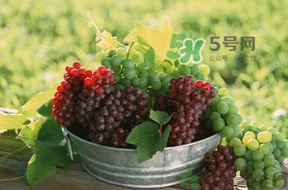 秋天成熟的水果有哪些？秋天吃水果有哪些禁忌