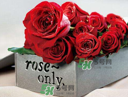roseonly怎么看真假？roseonly真假對比