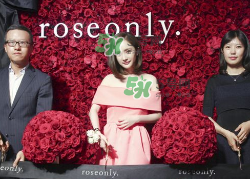 roseonly怎么看真假？roseonly真假對比