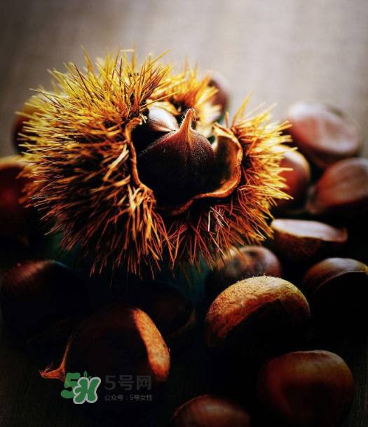 板栗能補腎嗎？板栗補腎陰還是腎陽？