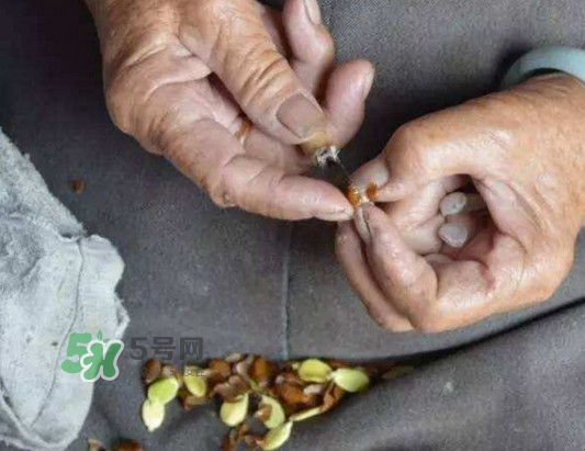 皂角米是怎么剝出來的？皂角米是酸性還是堿性