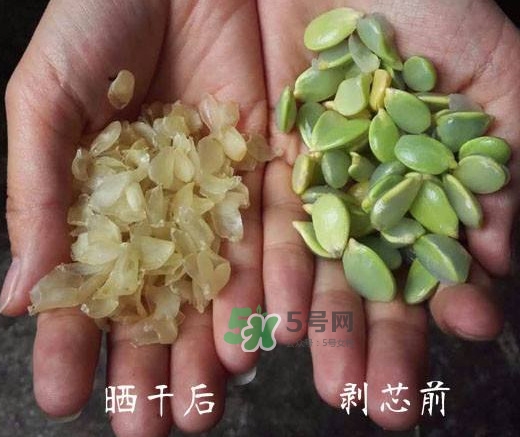 皂角米是什么味道？皂角米是什么顏色