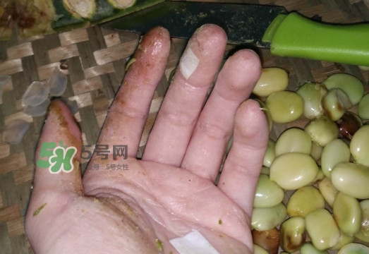 皂角米是怎么剝出來的？皂角米是酸性還是堿性