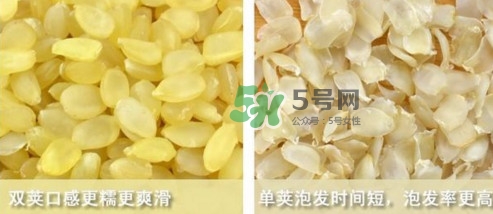 皂角米吃了有什么好處？皂角米的功效與作用