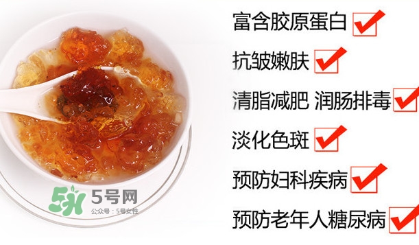 桃膠是桃樹上的膠嗎？桃膠是什么味道