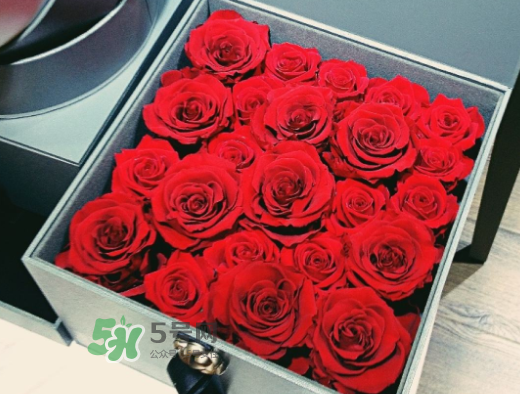 roseonly怎么買(mǎi)？roseonly如何買(mǎi)第二次？