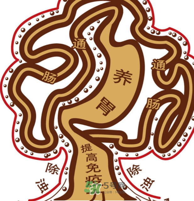 腸胃不好會(huì)引起頭暈嗎？頭暈與腸胃不好有關(guān)系嗎？